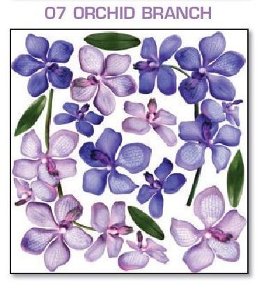 SOSPESO ORCHILD BRANCH